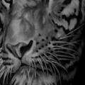 tatuaje Brazo Realista Tigre por Jun Cha