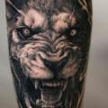 Arm Realistische Löwen tattoo von Tattoo Studio 73