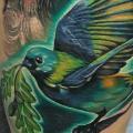 tatuaje Brazo Realista Pájaro por Rock Tattoo