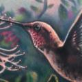Arm Realistic Bird Colibri tattoo by Johnny Smith Art