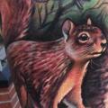 Arm Realistic Squirrel tattoo by Johnny Smith Art