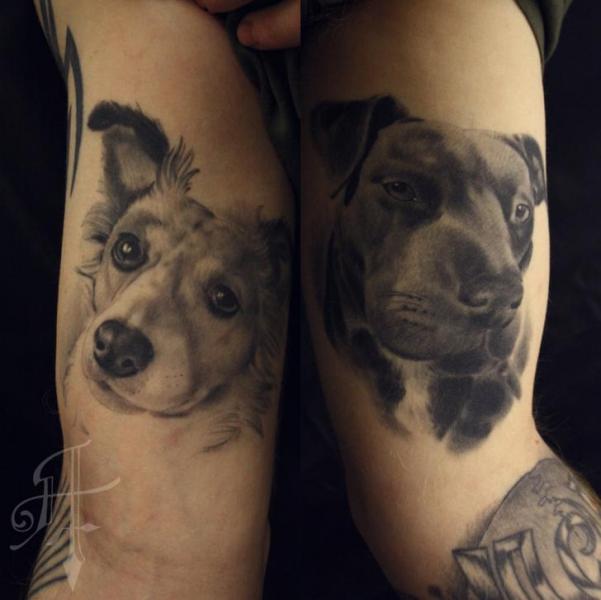 Tatuaggio Braccio Realistici Cane di Antony Tattoo