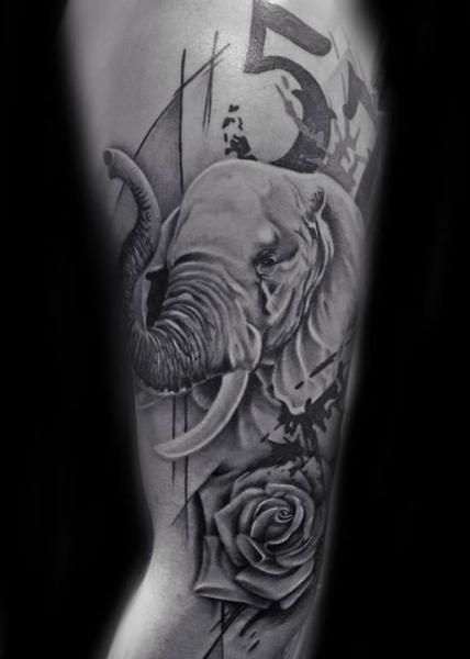 Tatuagem Braço Realísticas Elefante por Westfall Tattoo