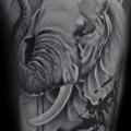 tatuaje Brazo Realista Elefante por Westfall Tattoo
