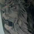 Arm Realistic Lion tattoo by Black Ink Studio