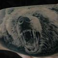 tatuaggio Braccio Realistici Orso di Black Ink Studio
