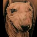 Arm Realistische Hund tattoo von Black Ink Studio