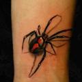 Arm Realistic Spider tattoo by Black Ink Studio