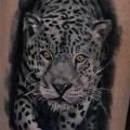 tatuaje Brazo Realista Tigre por Black Ink Studio