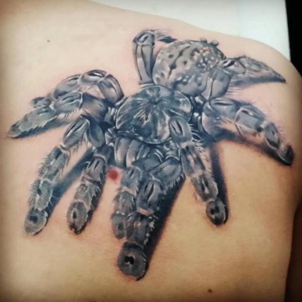 Tatuaje Hombro Realista Araña por Inky Joe