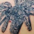 Shoulder Realistic Spider tattoo by Inky Joe