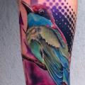 Arm Realistic Bird tattoo by Marked For Life