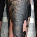 tatuaje Brazo Realista Elefante por Underworld Tattoo Supplies
