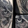 Arm Realistic Owl tattoo by Underworld Tattoo Supplies