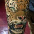 tatuaje Brazo Realista Tigre por Underworld Tattoo Supplies