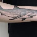 tatuaje Brazo Dotwork Tiburón por Jan Mràz