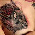tatuagem Peito Raposa por Dead Romanoff Tattoo
