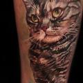 tatuaggio Braccio Realistici Gatto di Piranha Tattoo Studio