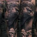 tatuaggio Braccio Realistici Aquila di Piranha Tattoo Studio