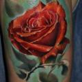 Arm Realistic Flower Rose tattoo by Piranha Tattoo Studio