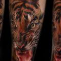 tatuaje Brazo Realista Tigre por Piranha Tattoo Studio