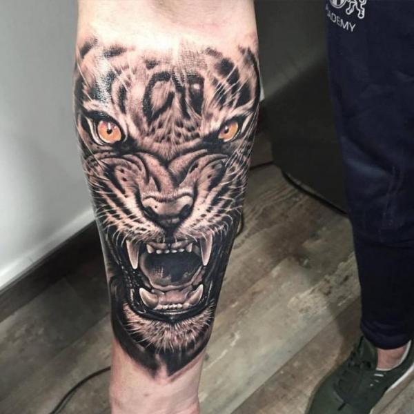 Tatuaje Brazo Realista Tigre por Piranha Tattoo Studio