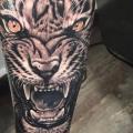 tatuaje Brazo Realista Tigre por Piranha Tattoo Studio