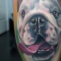 Realistische Waden Hund tattoo von Piranha Tattoo Studio