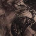 Realistische Löwen tattoo von Piranha Tattoo Studio