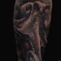 Shoulder Arm Realistic Octopus tattoo by Piranha Tattoo Studio