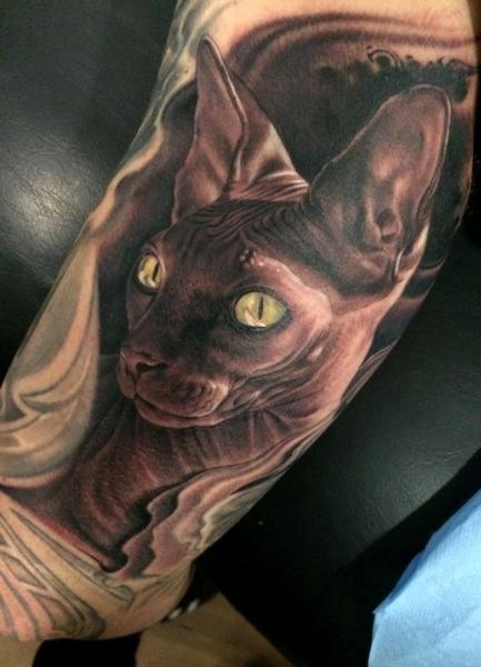 Tatuaggio Braccio Realistici Gatto di Fredy Tattoo