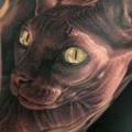 tatuaggio Braccio Realistici Gatto di Fredy Tattoo