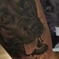 Arm Realistische Hund tattoo von Fredy Tattoo