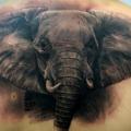 tatuaggio Realistici Schiena Elefante di Fredy Tattoo