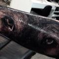 Arm Realistische Auge tattoo von Drew Apicture