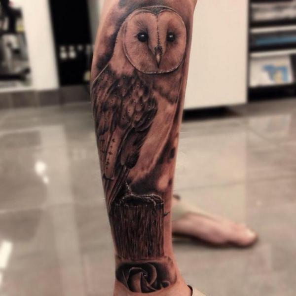 Realistic Calf Owl Tattoo by Drew Apicture