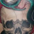 Schlangen Brust Totenkopf Bauch tattoo von Dagger & Lark Tattoo