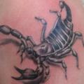 Shoulder Realistic Scorpion tattoo by Bodliak Tattoo