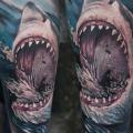 tatuaje Brazo Realista Tiburón por Pawel Skarbowski