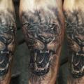 Arm Realistische Löwen tattoo von Redberry Tattoo