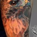 tatuaje Brazo Realista Águila por Powerline Tattoo
