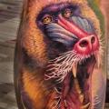 Realistic Calf Monkey tattoo by Powerline Tattoo