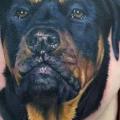 Realistic Chest Dog tattoo by Powerline Tattoo