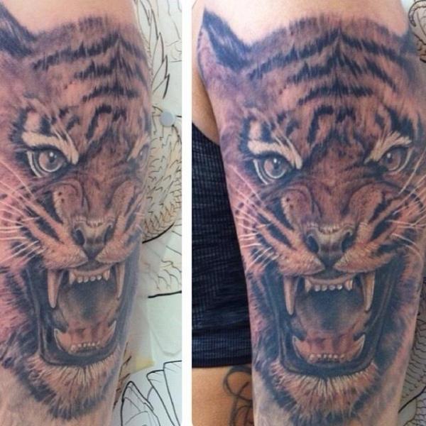 Realistic Tiger Tattoo by Powerline Tattoo