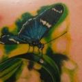 Schulter Realistische Schmetterling tattoo von Nikita Zarubin