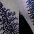 Arm Baum tattoo von Thomas Sinnamond