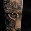 Arm Realistic Cat tattoo by Matthew James