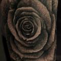 tatuaggio Braccio Realistici Fiore Rose di Matthew James