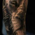 Arm Realistische Löwen tattoo von Matthew James