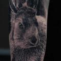 tatuaje Brazo Realista Conejo por Matthew James